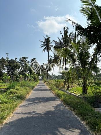 Jarang Ada! Tanah di Ngemplak Punya Luas 1695m2 SHM Jarang Ada! Tanah di Ngemplak Punya Luas 1695m2 SHM