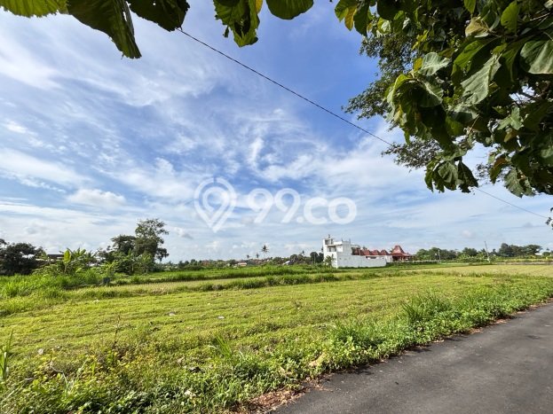 Lahan Dijual Lokasi Kalasan, Sleman dengan Luas Tanah 599m2 dan Status SHM Lahan Dijual Lokasi Kalasan, Sleman dengan Luas Tanah 599m2 dan Status SHM