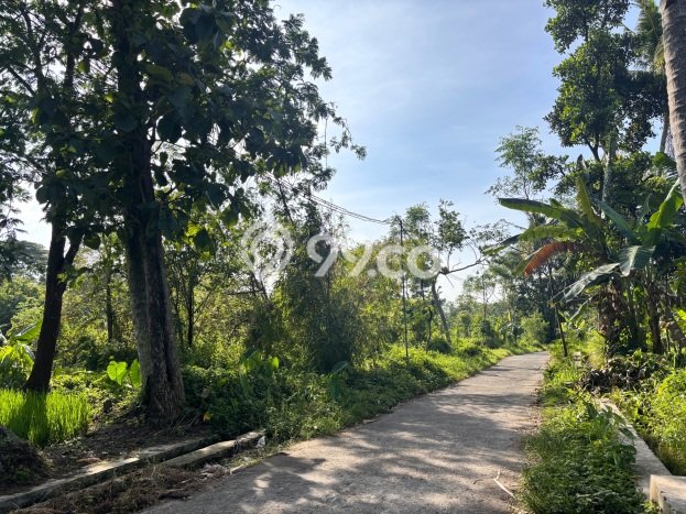 Jarang Ada! Tanah di Ngemplak Punya Luas 4900m2 SHM Jarang Ada! Tanah di Ngemplak Punya Luas 4900m2 SHM
