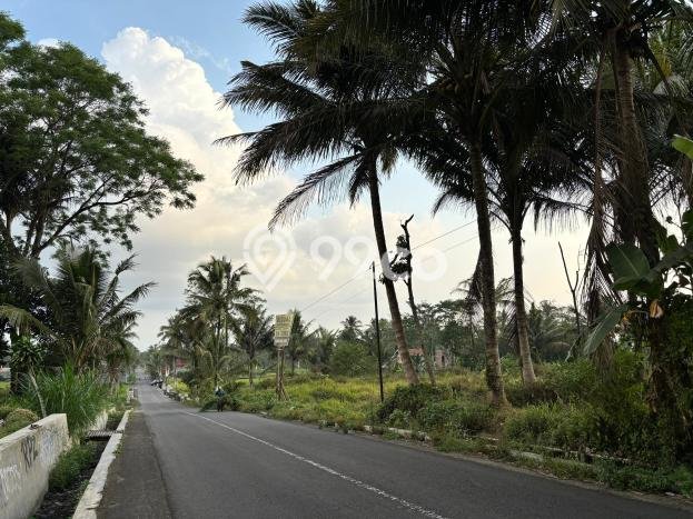 Tanah Kavling di Pakem Dijual dengan Luas 2510m2 Tanah Kavling di Pakem Dijual dengan Luas 2510m2