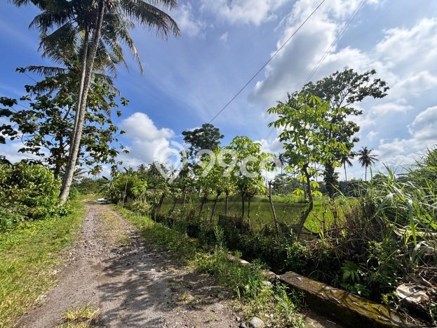 Tanah Kavling untuk Dijual di Pakem Sleman 1980m2 Tanah Kavling untuk Dijual di Pakem Sleman 1980m2
