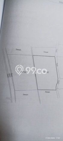 Jarang Ada! Tanah di Ngemplak Punya Luas 4900m2 SHM Jarang Ada! Tanah di Ngemplak Punya Luas 4900m2 SHM