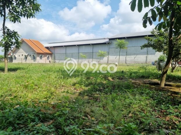 Gudang Dijual di Pagu Kediri dengan Luas Bangunan 2000m2 Gudang Dijual di Pagu Kediri dengan Luas Bangunan 2000m2