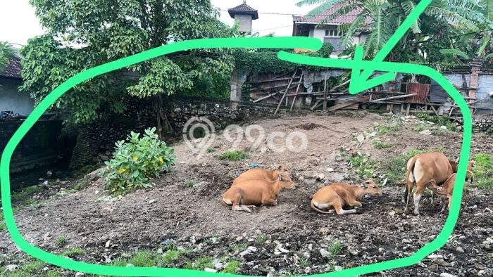 Kavling Tanah Dijual di Kuta Utara Badung Spesifikasi 390m2 Kavling Tanah Dijual di Kuta Utara Badung Spesifikasi 390m2
