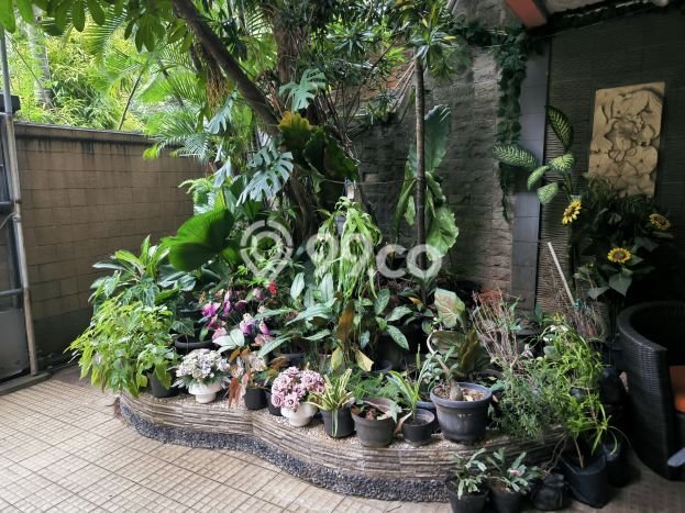 Dijual Rumah Mewah Exclusive di Cempaka Putih, Jakarta Pusat Dijual Rumah Mewah Exclusive di Cempaka Putih, Jakarta Pusat
