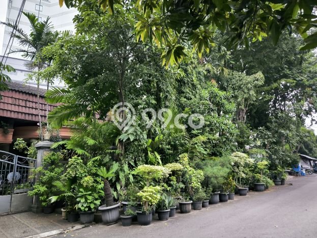 Dijual Rumah Mewah Exclusive di Cempaka Putih, Jakarta Pusat Dijual Rumah Mewah Exclusive di Cempaka Putih, Jakarta Pusat