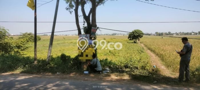 Kavling Tanah Dijual di Babelan, Bekasi, Luas 8795m2 Area Strategis Kavling Tanah Dijual di Babelan, Bekasi, Luas 8795m2 Area Strategis