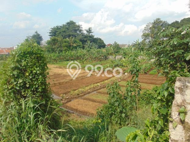 Dijual Tanah di Bogor, Luas 10060m2 SHM Dijual Tanah di Bogor, Luas 10060m2 SHM