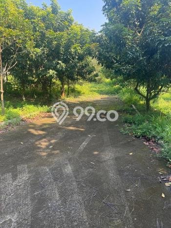 Tanah Dijual di Jakarta Utara Seluas 140000m2 Strategis Tanah Dijual di Jakarta Utara Seluas 140000m2 Strategis