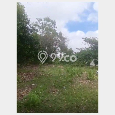 Tanah Dijual di Badung Seluas 3000m2 Strategis Tanah Dijual di Badung Seluas 3000m2 Strategis