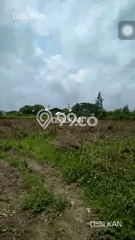 Tanah Kavling di Widang Dijual dengan Luas 40000m2 Tanah Kavling di Widang Dijual dengan Luas 40000m2