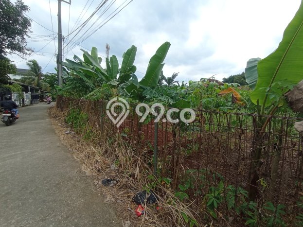 Tanah Dijual Area Strategis di Cibubur Jakarta Timur 1500m2 Tanah Dijual Area Strategis di Cibubur Jakarta Timur 1500m2