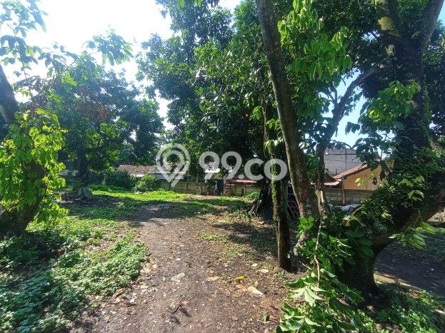 Tanah Dijual Lokasi Strategis di Depok dengan Luas 5000m2 Tanah Dijual Lokasi Strategis di Depok dengan Luas 5000m2