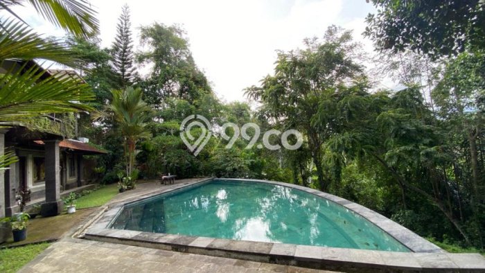 HARGA MENARIK! Vila Kawasan Gianyar, Ukuran 4640m2m², Lokasi Premium dengan jalan bagus HARGA MENARIK! Vila Kawasan Gianyar, Ukuran 4640m2m², Lokasi Premium dengan jalan bagus