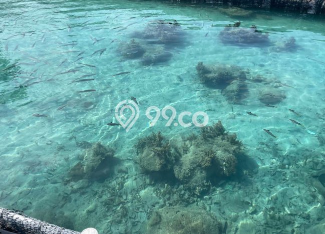 KAWASAN BISNIS! Hotel di Kepulauan Seribu Utara, Luas 7000m2m², Akses Utama KAWASAN BISNIS! Hotel di Kepulauan Seribu Utara, Luas 7000m2m², Akses Utama