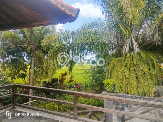 HARGA MENARIK! Vila Kawasan Gianyar, Ukuran 4640m2m², Lokasi Premium dengan jalan bagus HARGA MENARIK! Vila Kawasan Gianyar, Ukuran 4640m2m², Lokasi Premium dengan jalan bagus