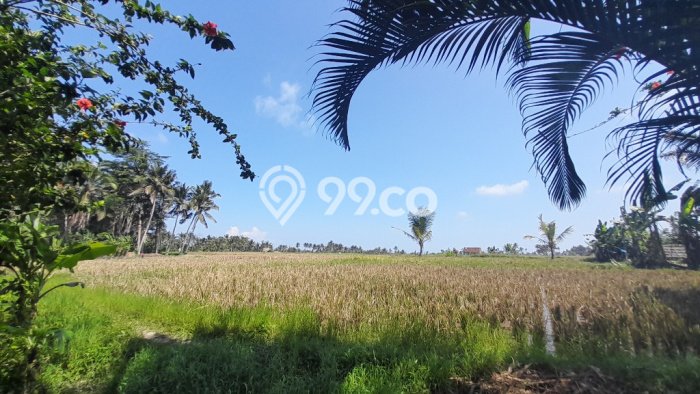 HARGA MENARIK! Vila Kawasan Gianyar, Ukuran 4640m2m², Lokasi Premium dengan jalan bagus HARGA MENARIK! Vila Kawasan Gianyar, Ukuran 4640m2m², Lokasi Premium dengan jalan bagus