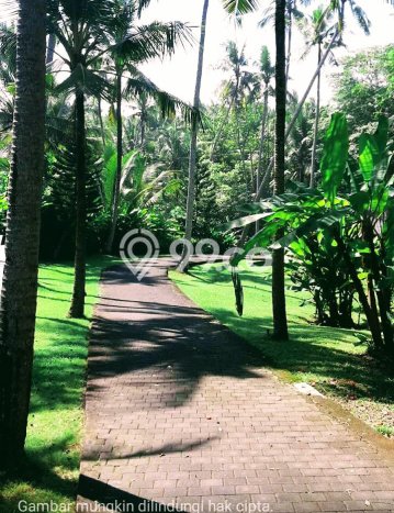 Aset Potensial! Vila Kawasan Tabanan, Ukuran 5420m2m², Lokasi Strategis dengan potensi tinggi Aset Potensial! Vila Kawasan Tabanan, Ukuran 5420m2m², Lokasi Strategis dengan potensi tinggi