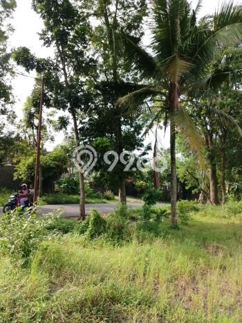 Kavling Tanah di Patrang Dijual Luas 796m2 Legalitas SHM Kavling Tanah di Patrang Dijual Luas 796m2 Legalitas SHM