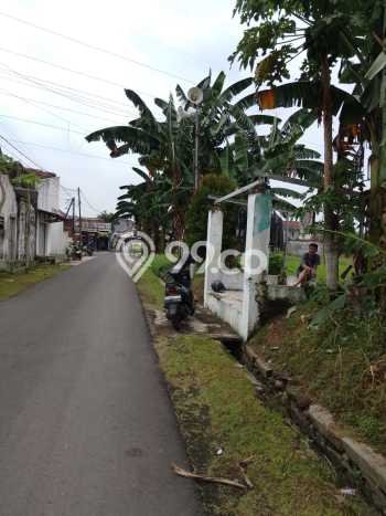 Kavling Tanah di Sumbersari Dijual Luas 2601m2 Legalitas SHM Kavling Tanah di Sumbersari Dijual Luas 2601m2 Legalitas SHM