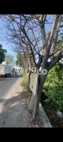 Tanah Dijual Lokasi Buduran, Sidoarjo Luas 11000m2 Legalitas Aman Tanah Dijual Lokasi Buduran, Sidoarjo Luas 11000m2 Legalitas Aman