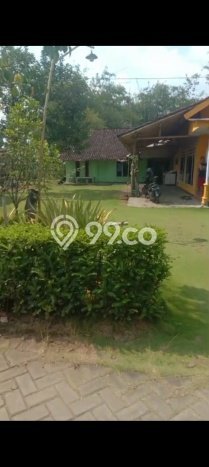 Dijual Tanah di Ajung Jember Luas 1558m2 SHM Dijual Tanah di Ajung Jember Luas 1558m2 SHM