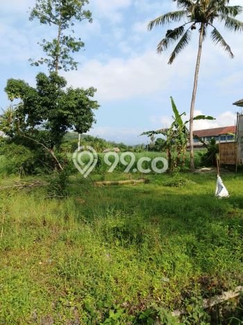 Kavling Tanah di Patrang Dijual Luas 796m2 Legalitas SHM Kavling Tanah di Patrang Dijual Luas 796m2 Legalitas SHM
