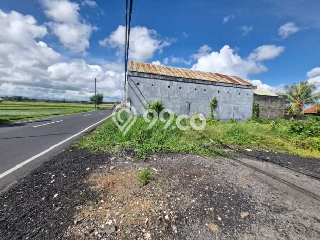 Untuk Dijual Tanah di Badung, Luas 100m2 SHM Untuk Dijual Tanah di Badung, Luas 100m2 SHM