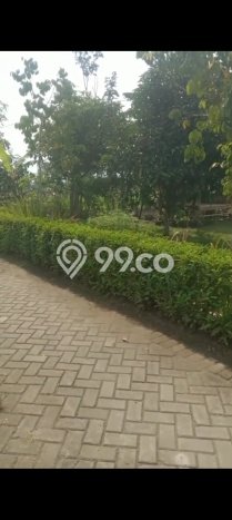 Dijual Tanah di Ajung Jember Luas 1558m2 SHM Dijual Tanah di Ajung Jember Luas 1558m2 SHM