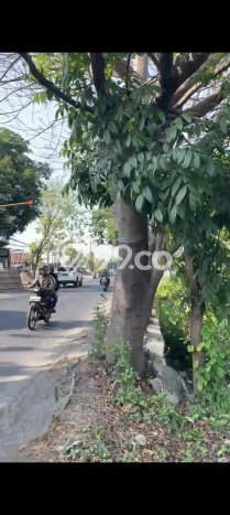 Tanah Dijual Lokasi Buduran, Sidoarjo Luas 11000m2 Legalitas Aman Tanah Dijual Lokasi Buduran, Sidoarjo Luas 11000m2 Legalitas Aman