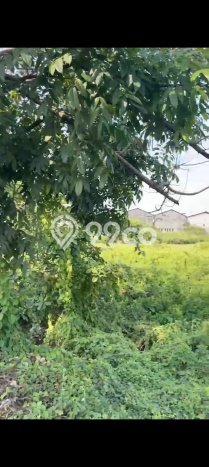 Tanah Dijual Lokasi Buduran, Sidoarjo Luas 11000m2 Legalitas Aman Tanah Dijual Lokasi Buduran, Sidoarjo Luas 11000m2 Legalitas Aman