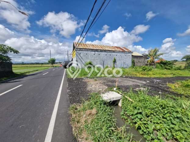 Untuk Dijual Tanah di Badung, Luas 100m2 SHM Untuk Dijual Tanah di Badung, Luas 100m2 SHM