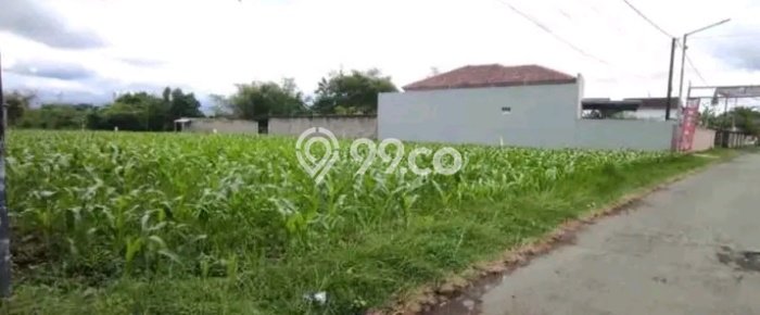 Kavling Tanah Dijual di Sumbersari Jember Spesifikasi 1000m2 Kavling Tanah Dijual di Sumbersari Jember Spesifikasi 1000m2