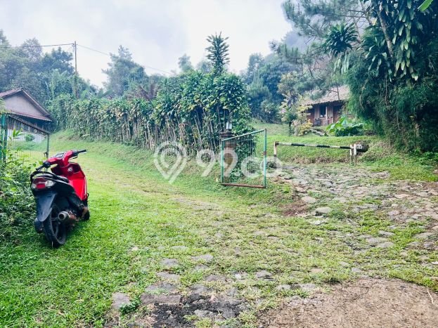 Tanah Kavling untuk Dijual di Ciapus Bogor 2923m2 Tanah Kavling untuk Dijual di Ciapus Bogor 2923m2