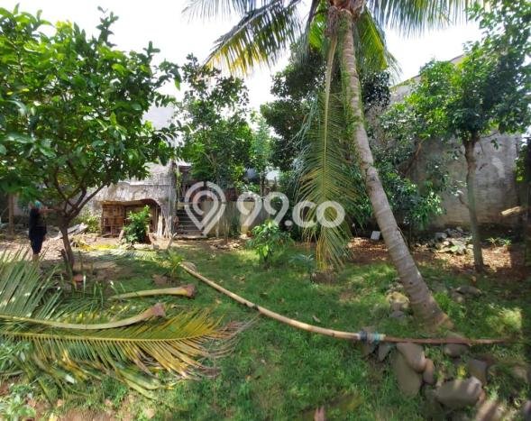 Dijual Hunian Rumah Nyaman 3 KT di Batutulis, Bogor Dijual Hunian Rumah Nyaman 3 KT di Batutulis, Bogor