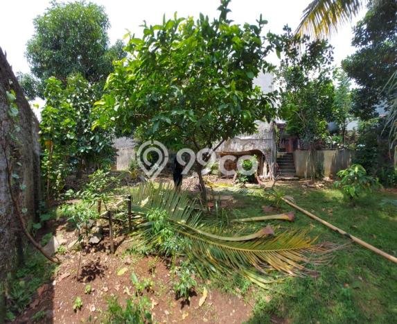 Dijual Hunian Rumah Nyaman 3 KT di Batutulis, Bogor Dijual Hunian Rumah Nyaman 3 KT di Batutulis, Bogor