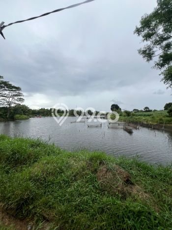 Lahan untuk Dijual Lokasi Parung, Bogor Luas 7256m2 SHM Lahan untuk Dijual Lokasi Parung, Bogor Luas 7256m2 SHM
