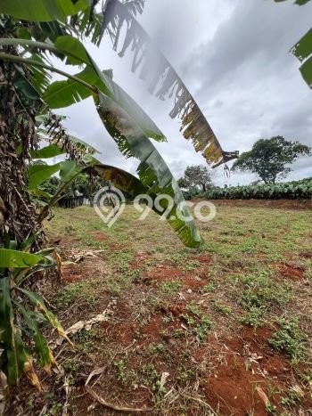 Lahan untuk Dijual Lokasi Parung, Bogor Luas 7256m2 SHM Lahan untuk Dijual Lokasi Parung, Bogor Luas 7256m2 SHM
