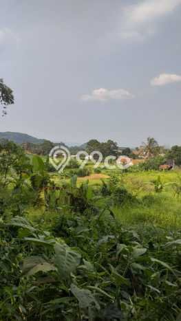Tanah untuk Dijual di Bogor Barat Bogor Luas 10000m2 Tanah untuk Dijual di Bogor Barat Bogor Luas 10000m2