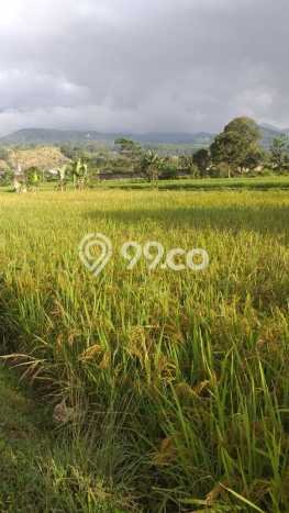 Tanah Dijual Lokasi Bogor Barat, Bogor Luas 8000m2 Legalitas Aman Tanah Dijual Lokasi Bogor Barat, Bogor Luas 8000m2 Legalitas Aman