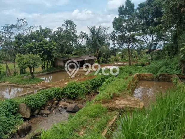 Jarang Ada! Tanah di Bogor Barat Punya Luas 2200m2 SHM Jarang Ada! Tanah di Bogor Barat Punya Luas 2200m2 SHM