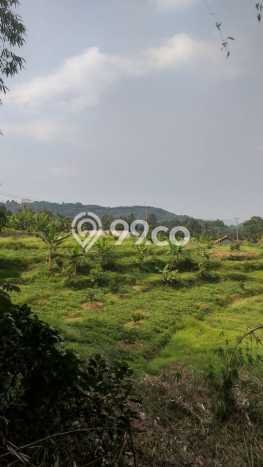 Tanah untuk Dijual di Bogor Barat Bogor Luas 10000m2 Tanah untuk Dijual di Bogor Barat Bogor Luas 10000m2