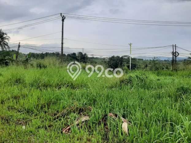 Tanah Kosong Dijual di Bogor dengan Area 2000m2 Tanah Kosong Dijual di Bogor dengan Area 2000m2