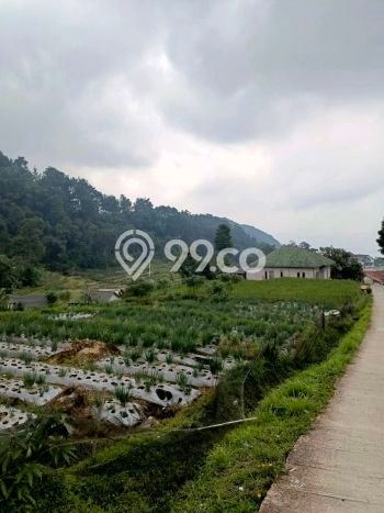 Tanah Dijual Lokasi Bogor Barat, Bogor dengan Luas Tanah 4000m2 dan Status PPJB Tanah Dijual Lokasi Bogor Barat, Bogor dengan Luas Tanah 4000m2 dan Status PPJB
