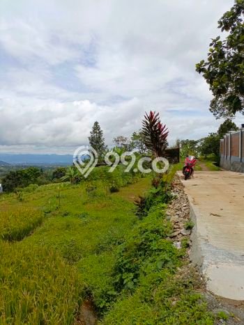 Tanah di Bogor Barat, Bogor Luas 1800m2 Dijual Segera Tanah di Bogor Barat, Bogor Luas 1800m2 Dijual Segera