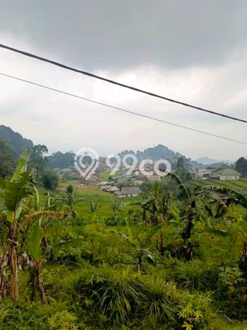 Tanah Dijual Lokasi Bogor Barat, Bogor dengan Luas Tanah 4000m2 dan Status PPJB Tanah Dijual Lokasi Bogor Barat, Bogor dengan Luas Tanah 4000m2 dan Status PPJB