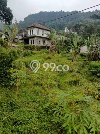Tanah Dijual Lokasi Bogor Barat, Bogor dengan Luas Tanah 4000m2 dan Status PPJB Tanah Dijual Lokasi Bogor Barat, Bogor dengan Luas Tanah 4000m2 dan Status PPJB