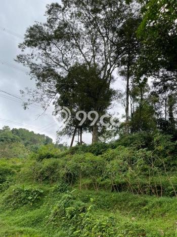Kavling Tanah di Bogor Barat Dijual Luas 7000m2 Legalitas PPJB Kavling Tanah di Bogor Barat Dijual Luas 7000m2 Legalitas PPJB