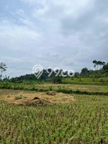 Kavling Tanah di Bogor Barat Dijual Luas 7000m2 Legalitas PPJB Kavling Tanah di Bogor Barat Dijual Luas 7000m2 Legalitas PPJB