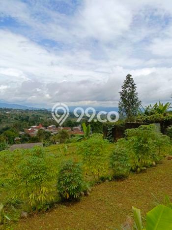 Tanah di Bogor Barat, Bogor Luas 1800m2 Dijual Segera Tanah di Bogor Barat, Bogor Luas 1800m2 Dijual Segera